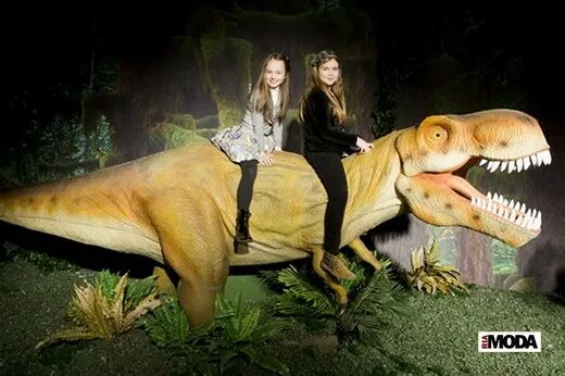 цдм динозавры на каникулах. нашествие динозавров йошкар-ола. цдм на лубянке динозавр. цдм динозавры на каникулах. группа динозавры екатеринбург.