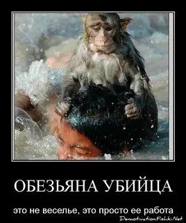 Умершая обезьяна