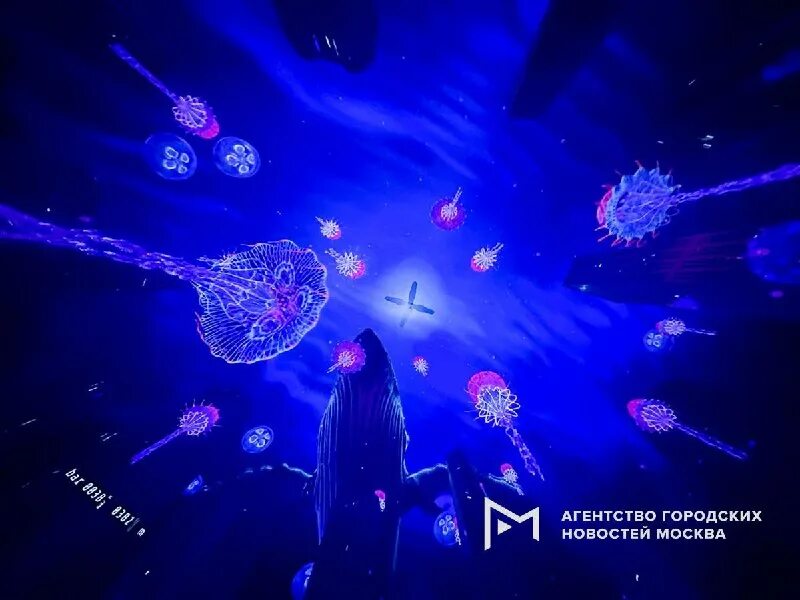 Иммерсивное арт пространство luminar москва. Иммерсивное арт пространство luminar москва. Иммерсивное арт пространство luminar москва. Иммерсивное арт пространство luminar москва. Иммерсивное арт пространство luminar москва.