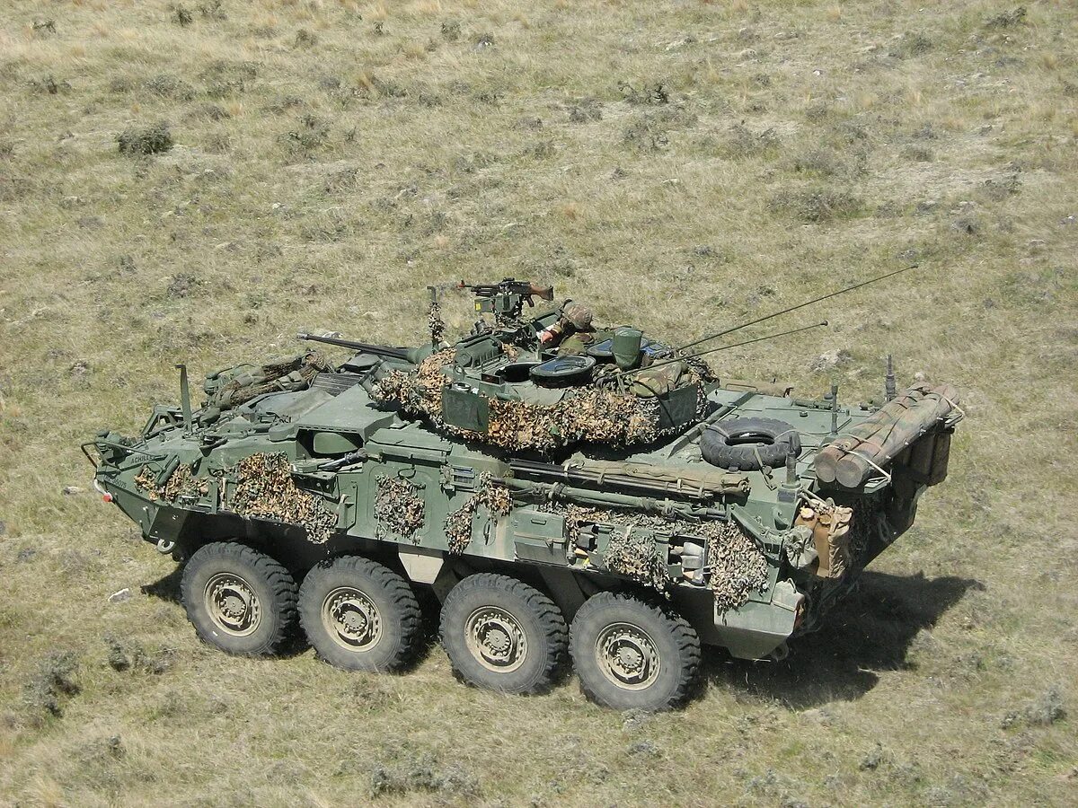 Code80 lav3
