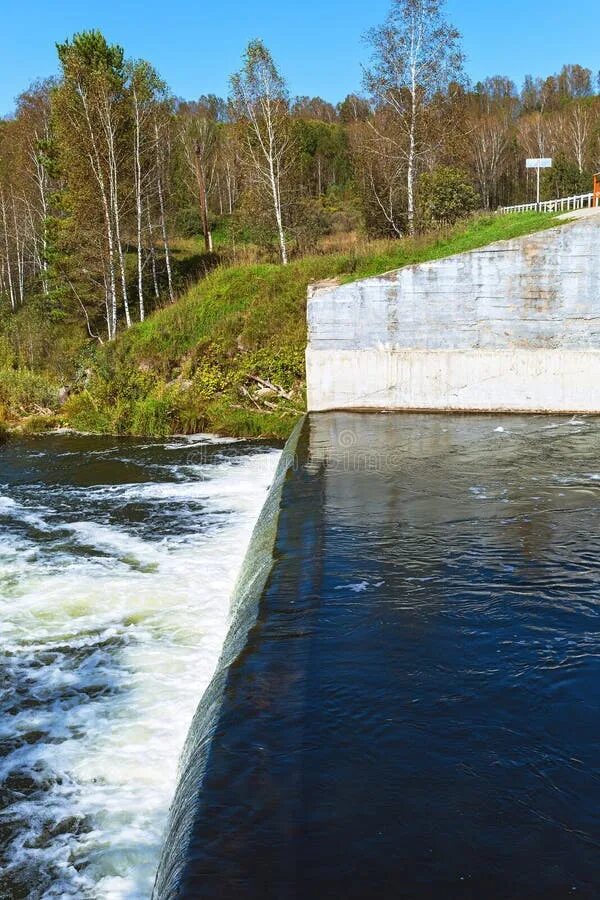 Суровая россия для етс 2. 39 сибирь. Siberia r. Шайба сибирь снюс. Шайба сибирь снюс.