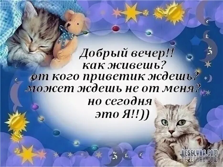 Пожелания доброго вечера и доброй ночи прикольные. Пожелания спокойной ночи. стихи спокойной ночи. поздравления с добрым вечером прикольные.