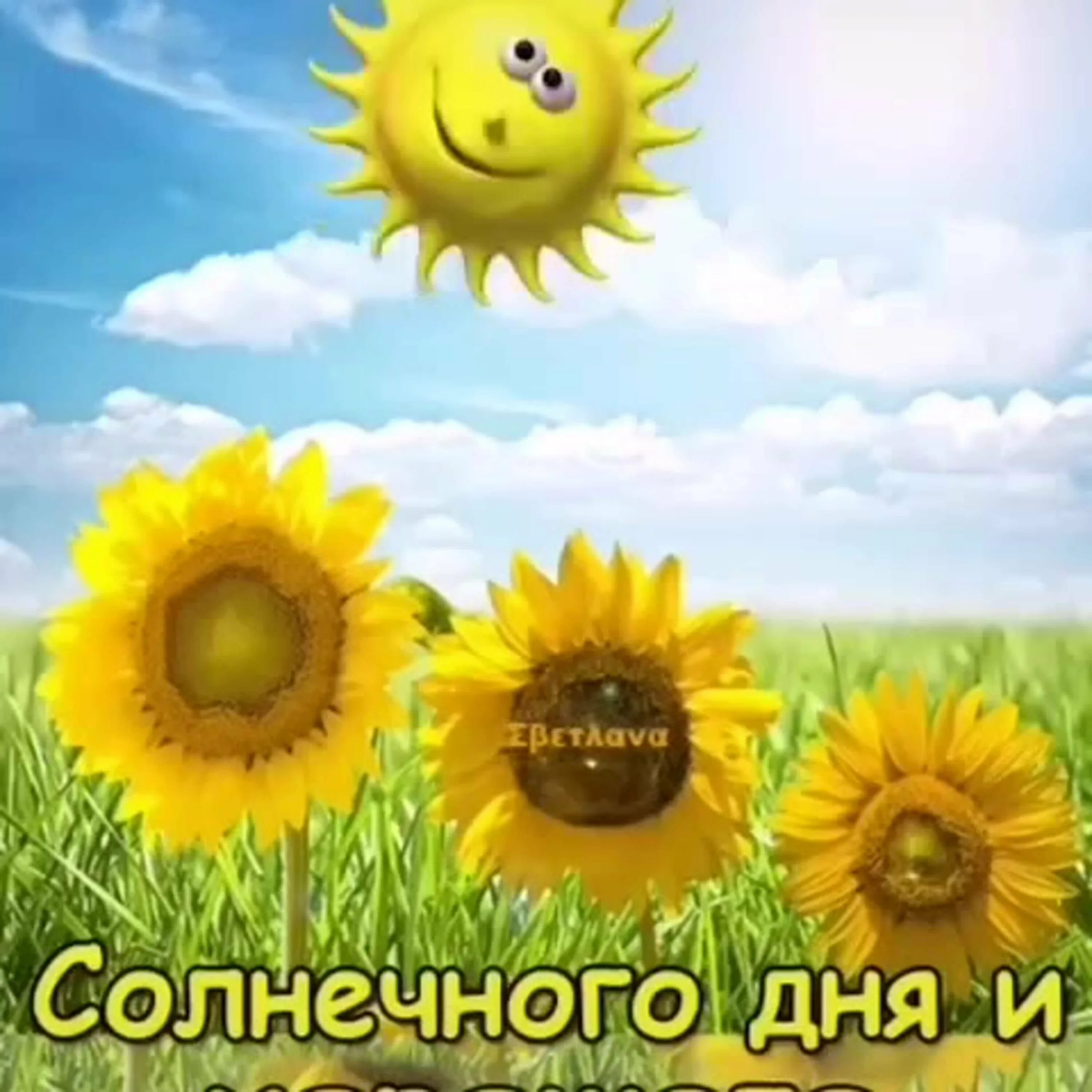 Всем доброго утра солнечного дня. Солнечного настроения. доброго солнечного дня. добродоброе утро солнечного дня. солнечный день.