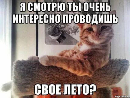 Эу я тебе не эу