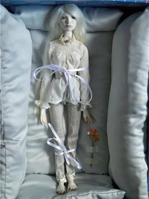 Куколка упаковки. Куколка упаковки