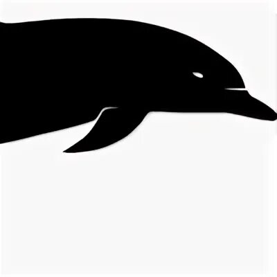 Черный Дельфин. Черный Дельфин схема. Чёрный Дельфин ВК.