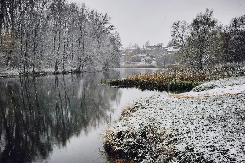 Cold november. Милковский ноябрь. Ноябрь ветер. Мичуринск ноябрь. Ноябрь холод ветер.