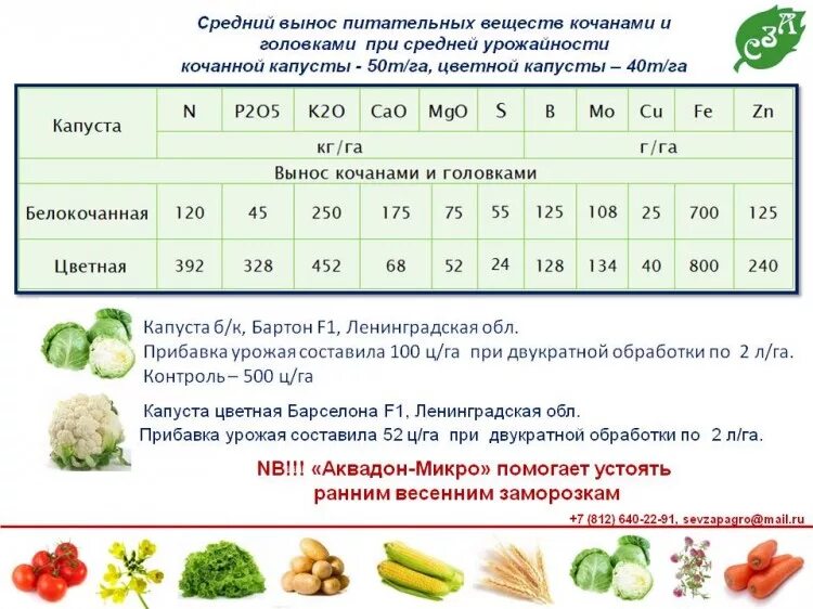 Питательные вещества капусты. Вынос питательных веществ с урожаем картофеля. схема минерального питания картофеля. вынос питательных элементов картофелем. вынос питательных веществ с урожаем капусты.