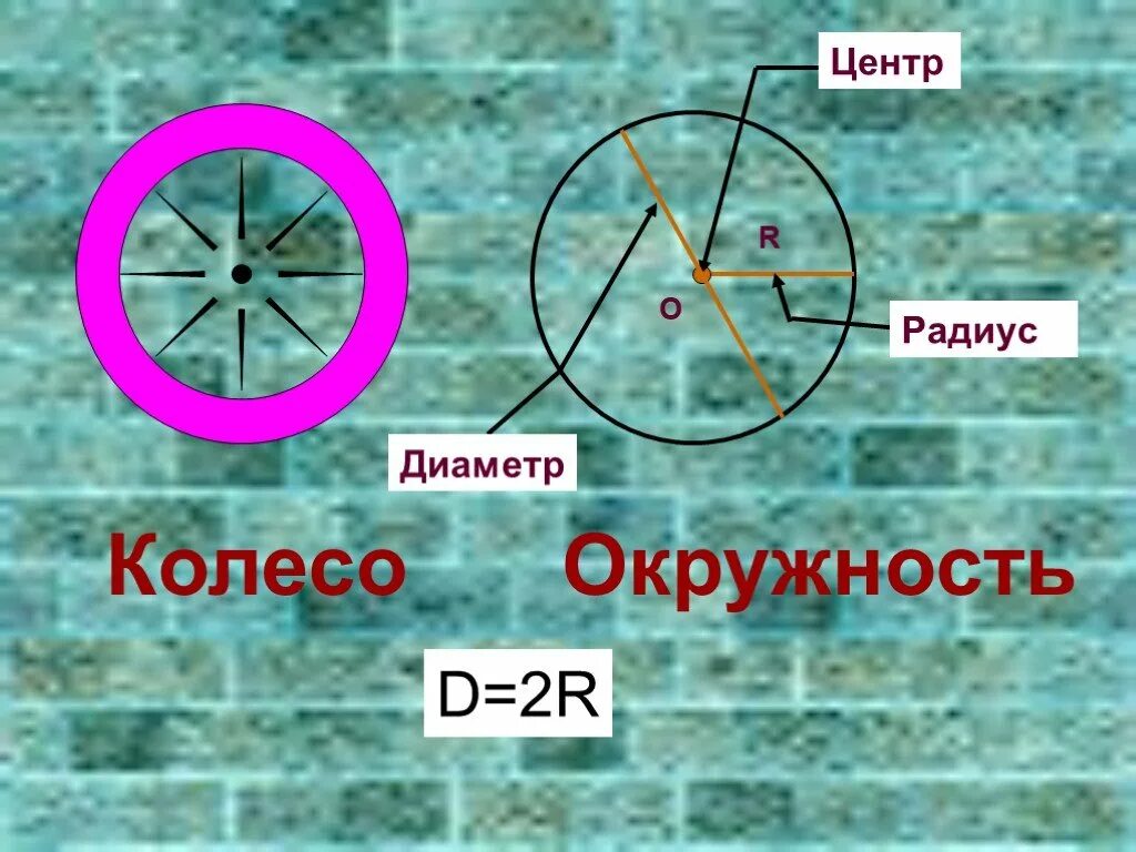 Колесо круг или окружность. Окружность колеса. Окружность и круг колесо. Длина окружности колеса. Длина окружности диаметром 5 метров.