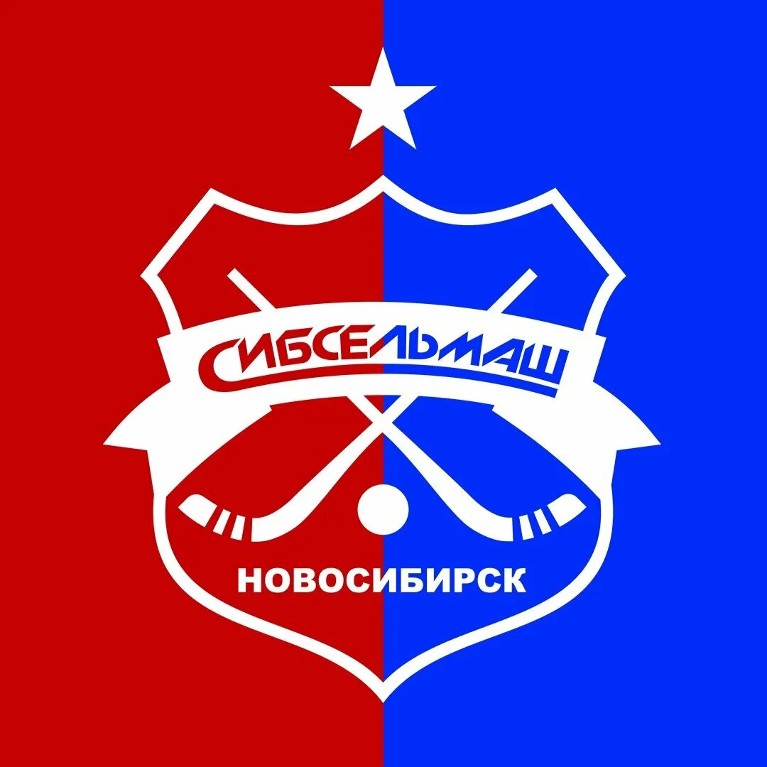 Сибсельмаш клуб по хоккею с мячом. Сибсельмаш чемпион 1995. логотип сибсельмаш новосибирск. сибсельмаш хк юбилей лого. хк сибсельмаш новосибирск 1994-1995.