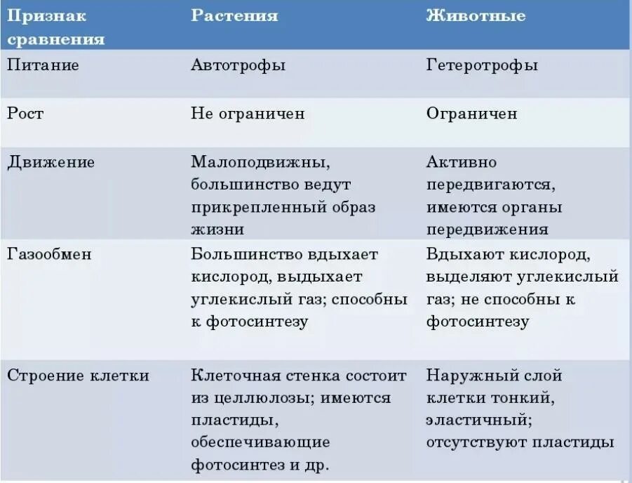 Назовите черты отличия в строении внутренних органов. Сравнительная характеристика растений и животных таблица 6 класс. Таблица сравнение растений и животных по биологии 7 класс. Таблица признаки растений и животных 7 класс. Таблица сравнительная характеристика растительной и животной 7.