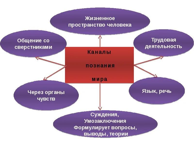 Презентация на тему человек познаёт мир. Виды деятельности познание.