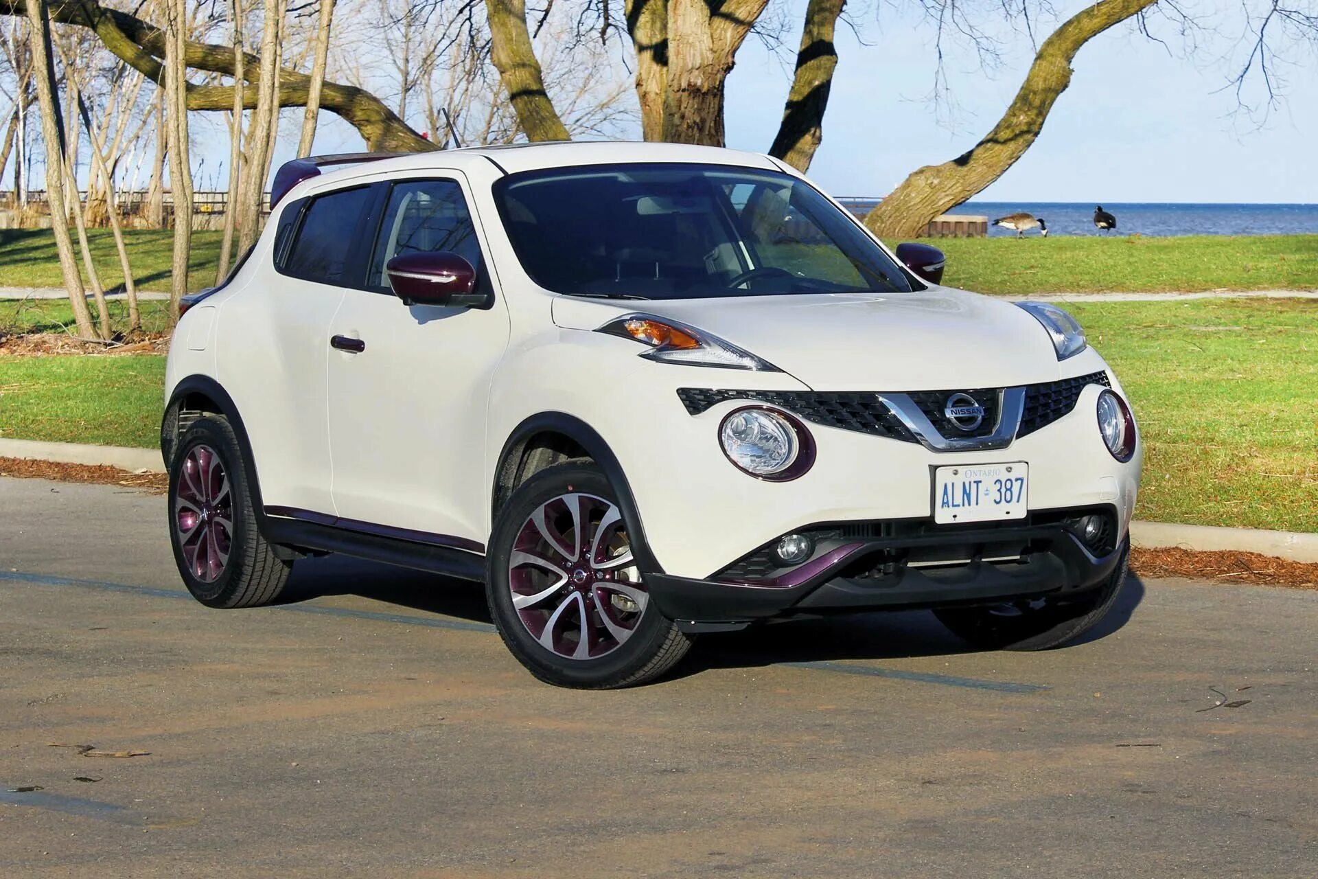 Белый жук. Nissan juke 2015. nissan juke 2015 белый. nissan juke nismo 2015. ниссан жук 2015 белый.