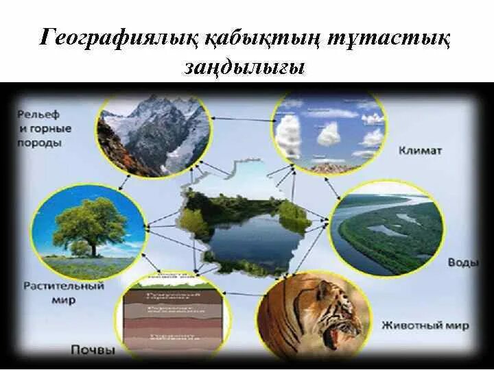 Природные компоненты россии география 8 класс
