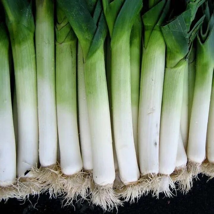 What are Leeks? (And How to Cook Them) - Love and Lemons Recipe Leeks, For love 