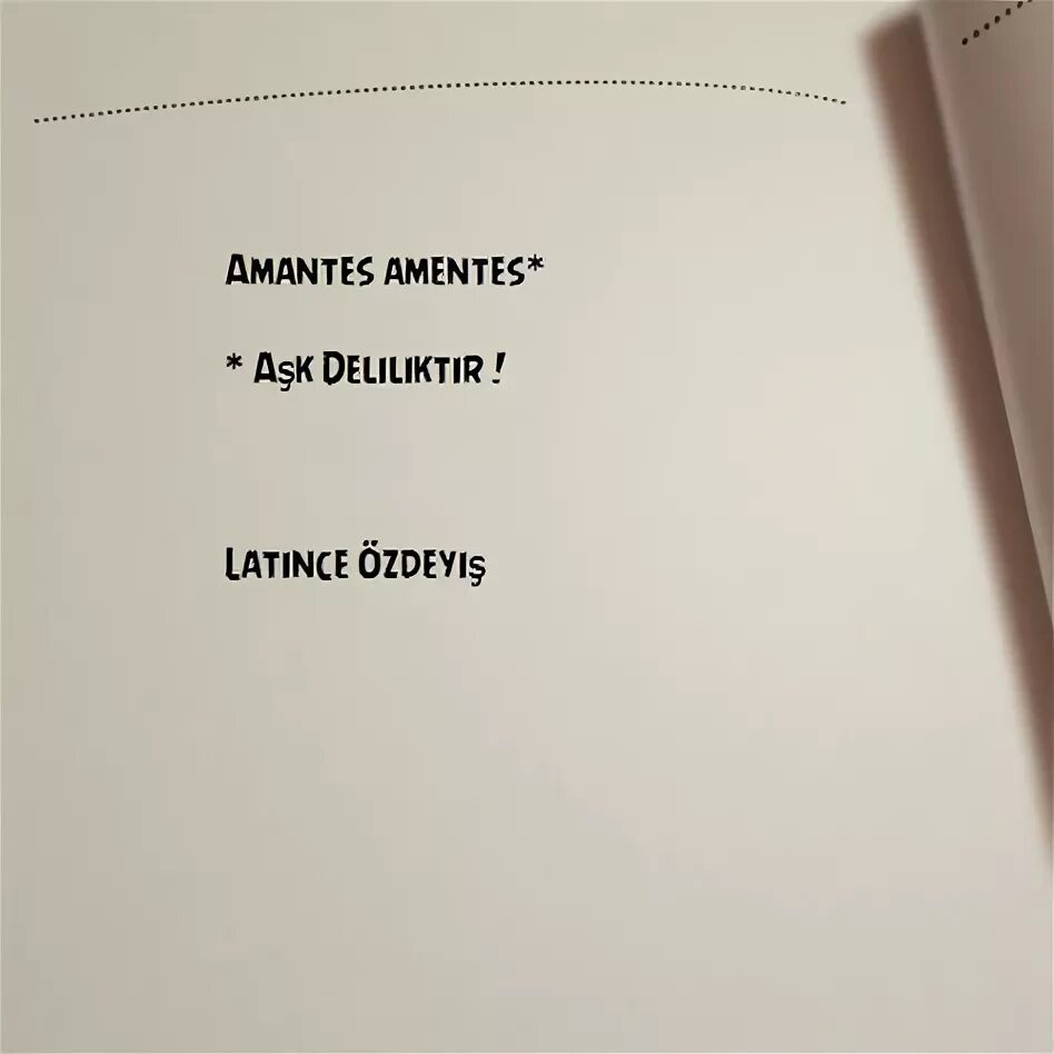 Amantes sunt amentes перевод на русский. Amantes sunt amentes тату. Amantes sunt amentes перевод на русский. Amantes sunt amentes тату эскиз. Amantes amentes перевод.