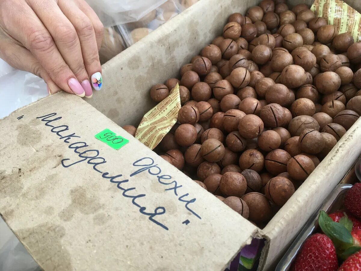 Магаданский орех фото Вкусный орех Макадамия опт от 5кг купить в Москве Товары для дома и дачи Авито
