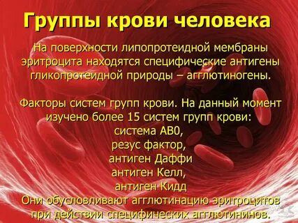 Кел фактор