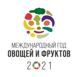 2017 год международный год