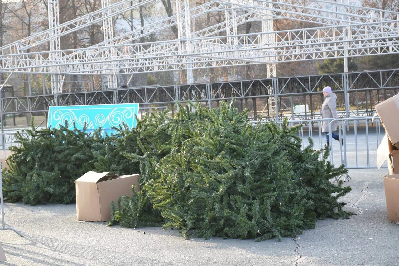 Театральная площадь елка 2023. Театральная площадь киров 2022 новый год. Открытие городской елки. Городская елка г. Курск театральная площадь новый год 2022.