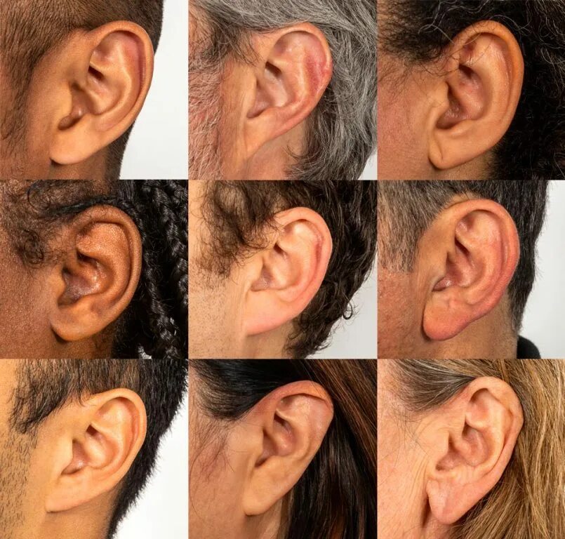 Состояние заложенных ушей