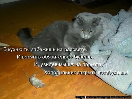Что он такого натворил