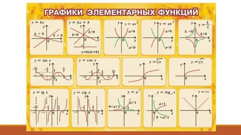Типы функций с примерами ImmunoCap.ru