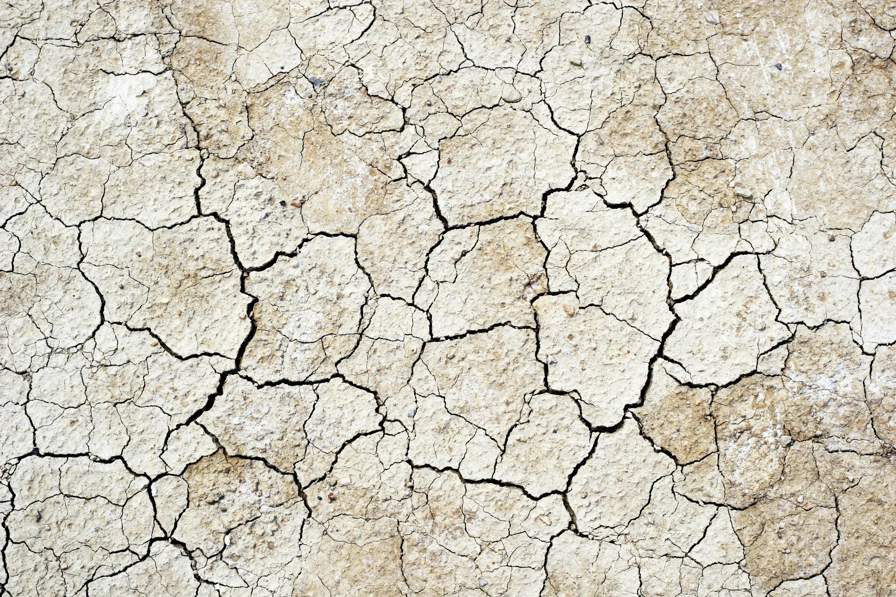 Crack mapping