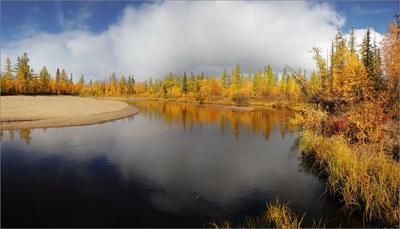 Осенняя природа Якутия река Чульман. Нерюнгри Якутия природа. Золотая осень Мирный Якутия. Нерюнгри Тайга.