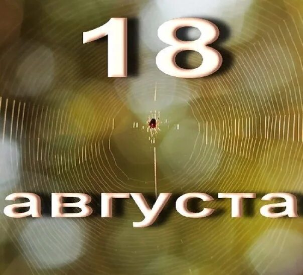 18 Августа. 18 Августа картинки. 18 Августа надпись. 18 Августа календарик. 18 августа 2014