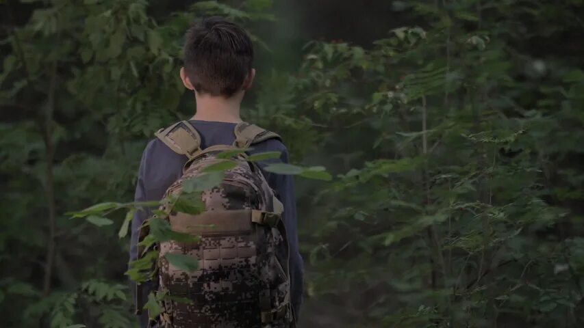 Go forest go