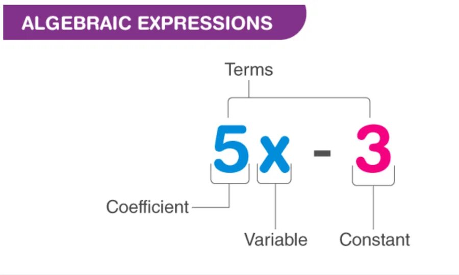 Algebraic expression. Evaluating Algebraic expression. Algebraic expression Tree. Variable Math. Expression definition