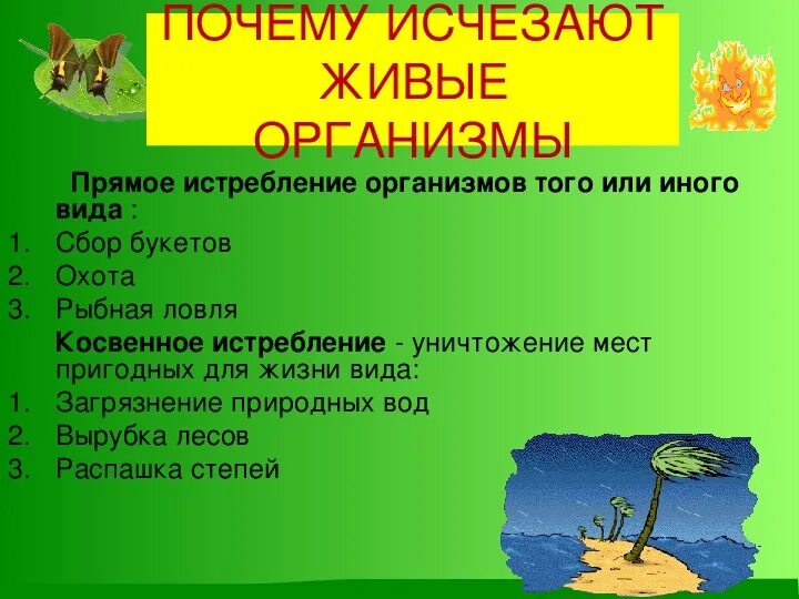 Богатства природы. Сообщение на тему как сохранить богатства природы. Богата жива. Богата жива. Природные богатства.