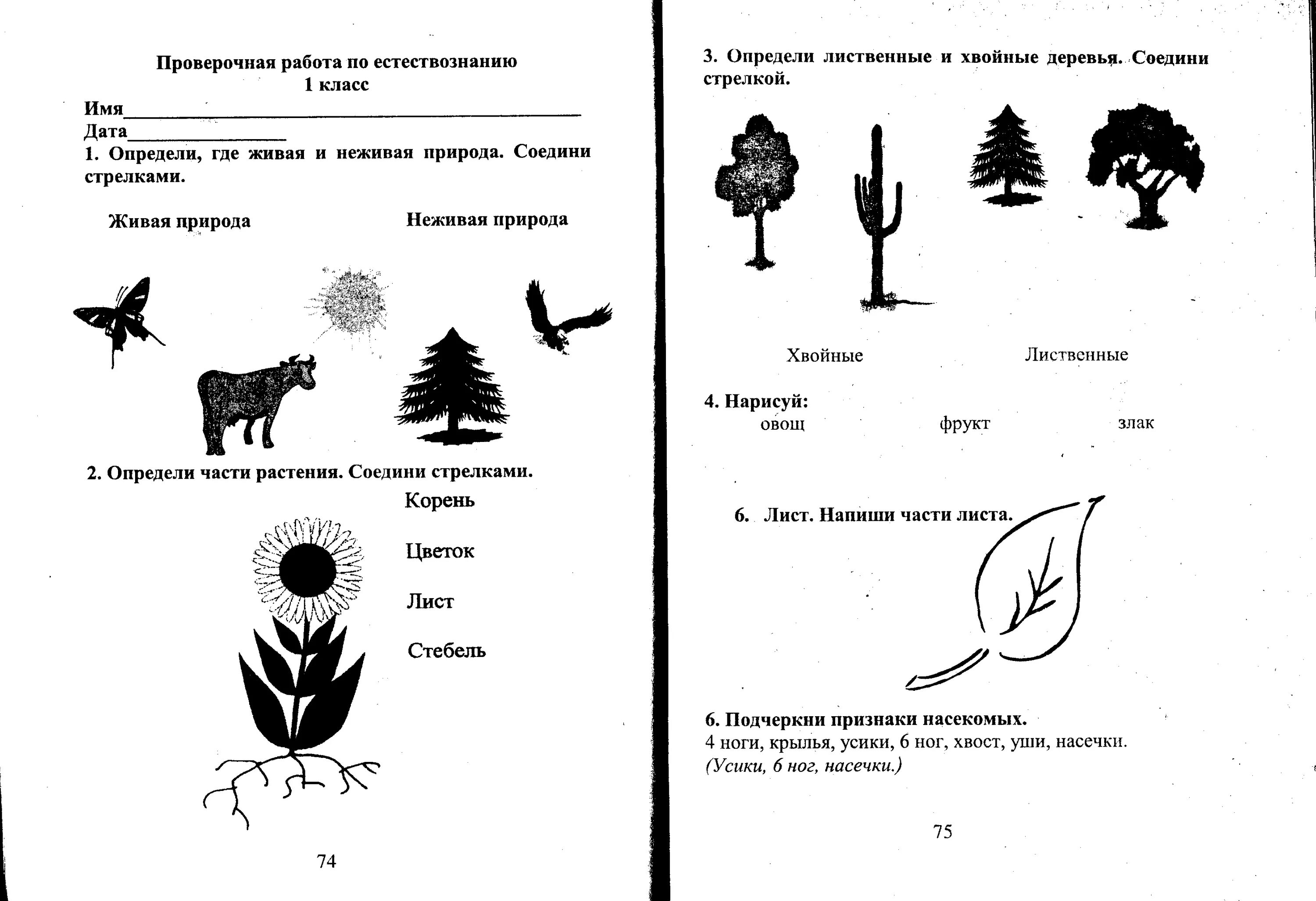 Соедини стрелками изображения способов добычи. Карточки по естествознанию. Окружающий мир Живая и неживая природа задания. Живая и неживая природа 1 класс задания. Задание по природному миру.