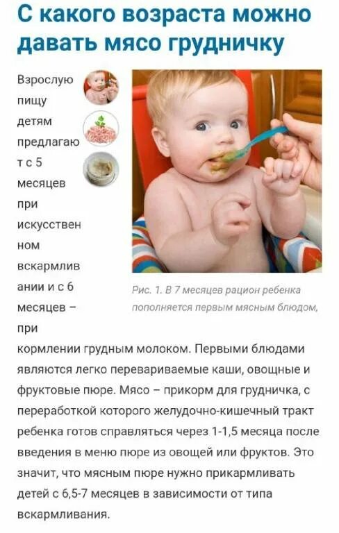 Сколько мяса можно давать. Кода детям можно давать мясо. С какого возраста можно давать ребёнку. Мясные прикормы для детей до года. Когда можно давать мясо ребенку.