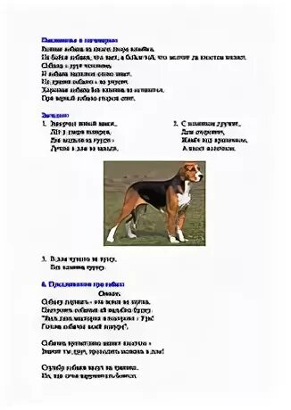 Что означает слово собака. Проект рассказ о слове 3 класс. Доклад по русскому языку 3 класс рассказ о слове. Картинка к слову собака.