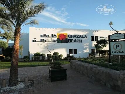 Ghazala beach 4 отзывы