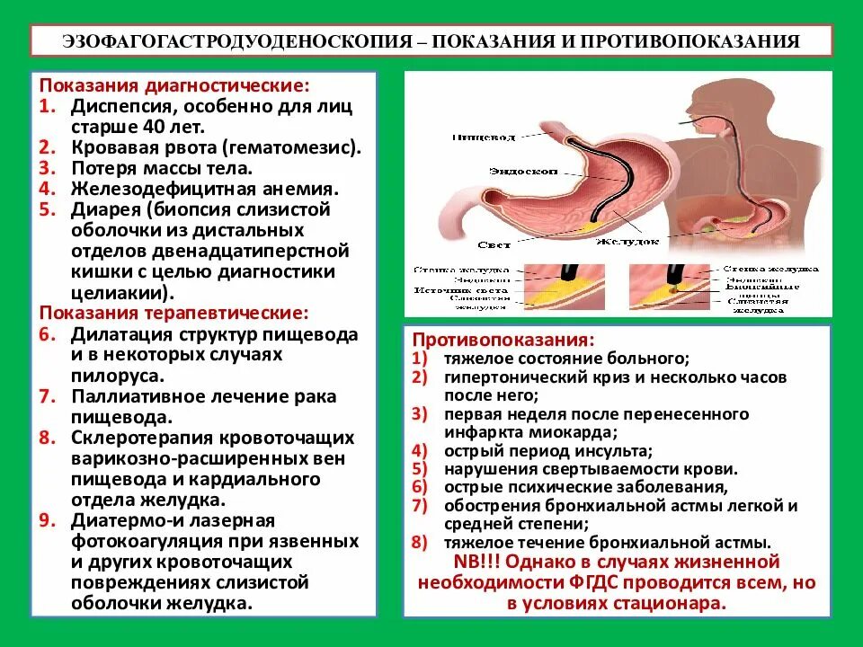 Врач по поводу желудка. ФГДС показания и противопоказания. Методика выполнения ЭГДС. ФГДС противопоказания для проведения.