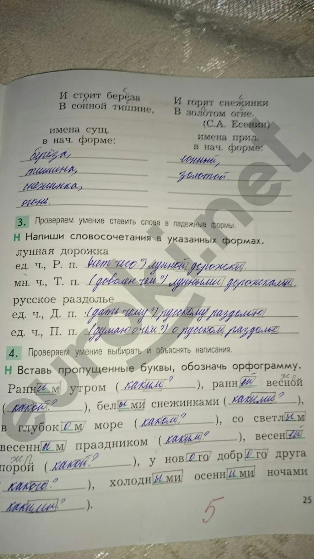 Бунеев 4 класс проверочные и контрольные. Гдз по русскому языку 4 класс бунеев бунеева проверочная работа. бунеева проверочные и контрольные работы по русскому языку 4 класс. гдз по русскому языку 4 класс проверочные работы бунеева. ответы по русскому языку 4 класс бунеев проверочные.