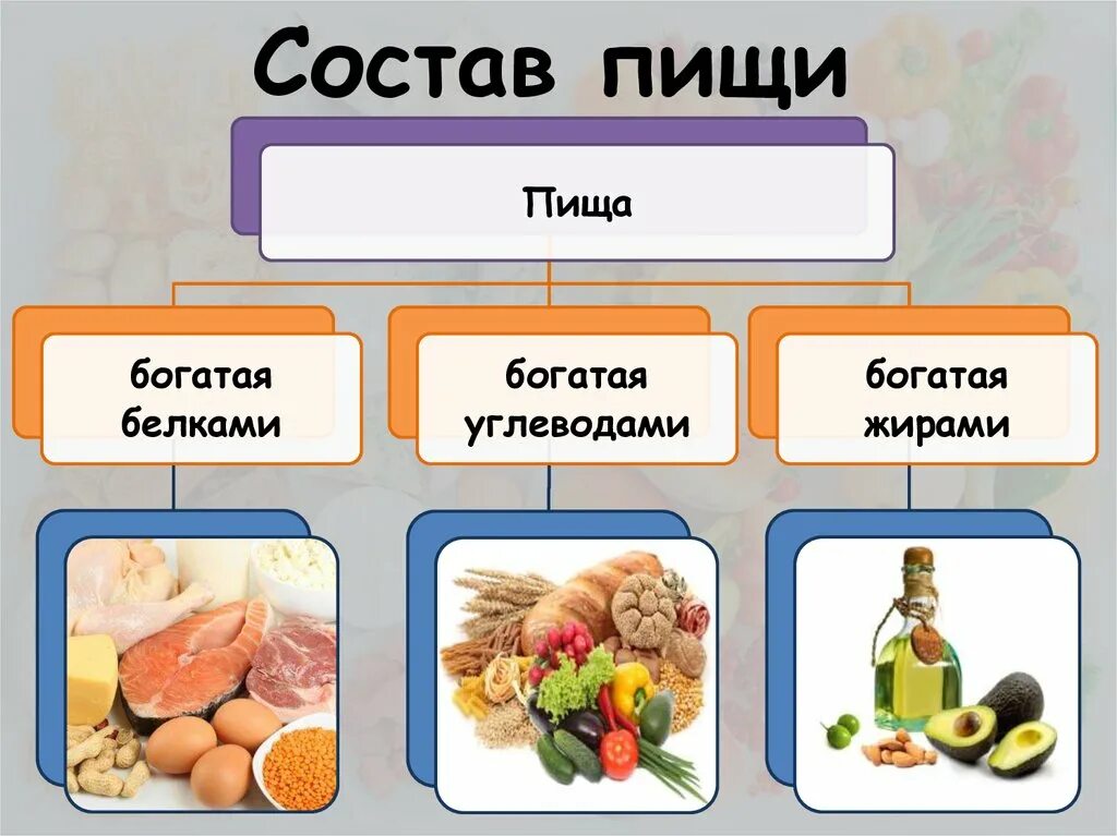 Пищевые вещества продуктов питания. Питательные вещества белки жиры углеводы. Схема питания белки жиры углеводы. Схема белки жиры углеводы витамины. Состав пищи.