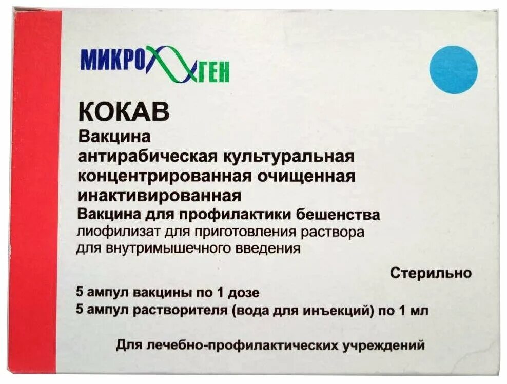 Вакцина антирабическая рабивак внуково 32. Антирабическая вакцина схема. Антирабическая профилактика кокав. Вакцина антирабическая культуральная. Кокав побочные эффекты.