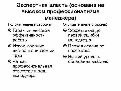 Экспертная власть