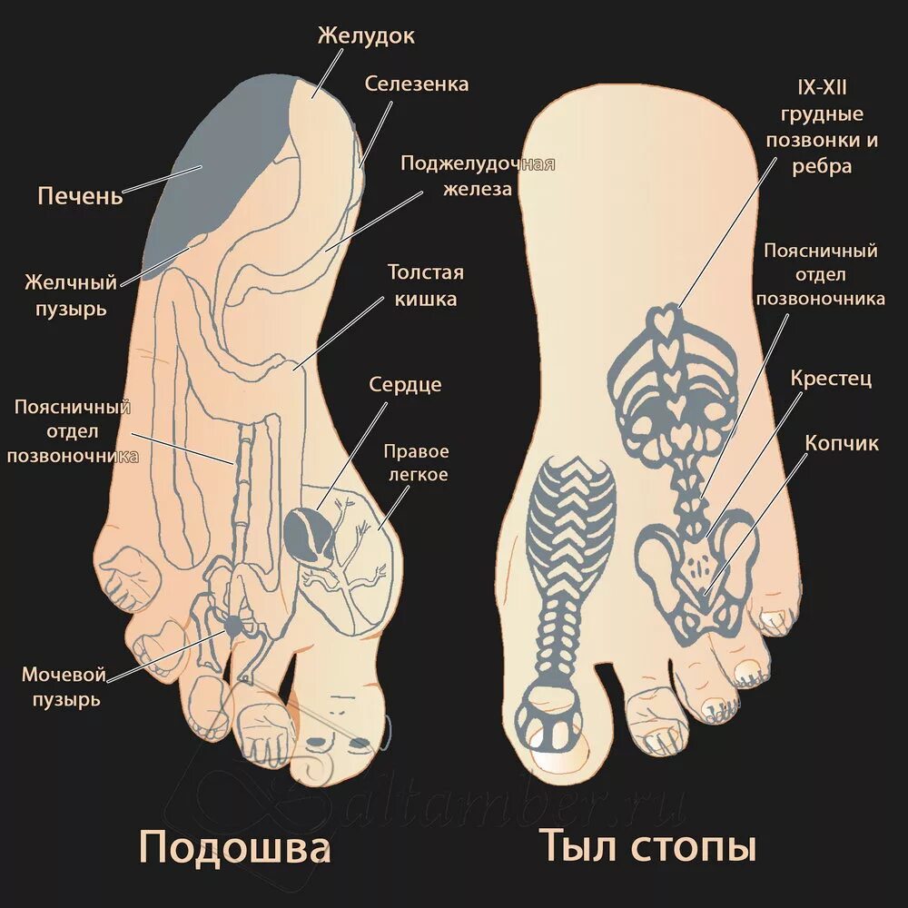 Су Джок точки на стопе. Су Джок точки на стопе ноги. Су Джок терапия точки на стопах. Су Джок на подошве стопы.