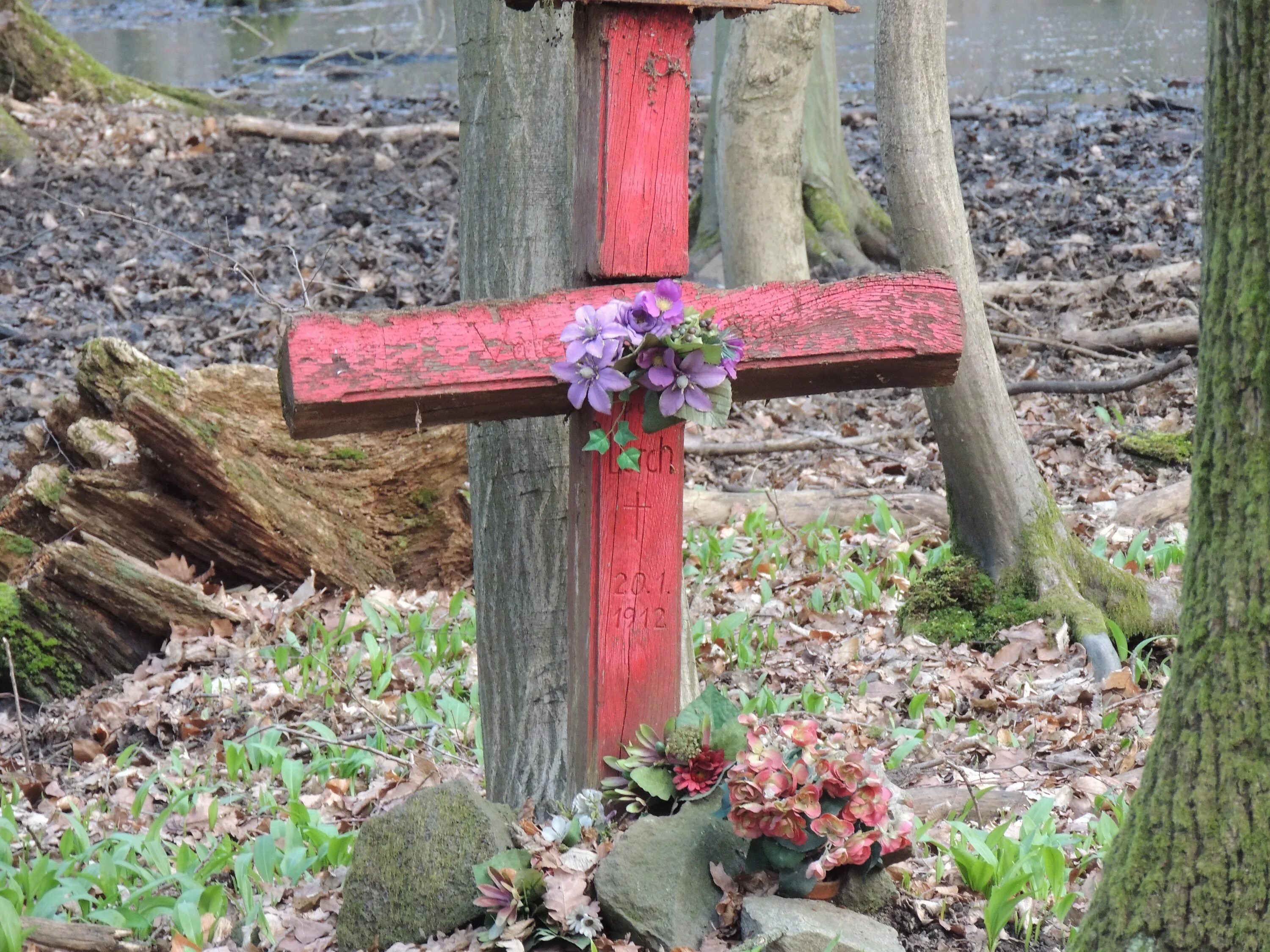Цветы из дома на кладбище. Крест на могилу. Кладбищенский крест. Кладбищенские цветы. Цветы на могилу.