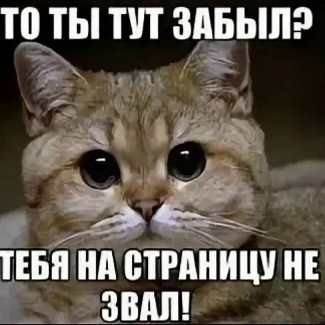 Тогда тут