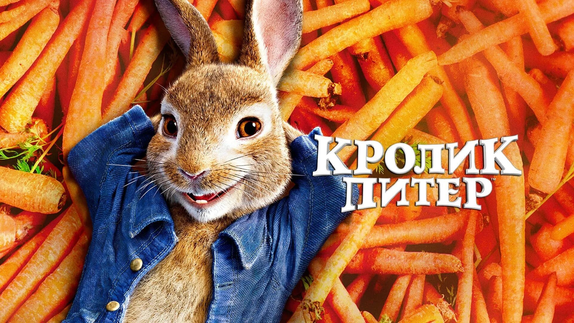 Rabbit movie. Кролик Питер 2воыбарари.