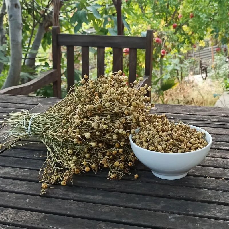 гармала(исрык). дикая рута, гармала. гармала трава. гармала ведьмина трава. гармала обыкновенная могильник.