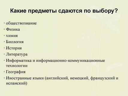 Какие экзамены нужно сдавать на it специалиста