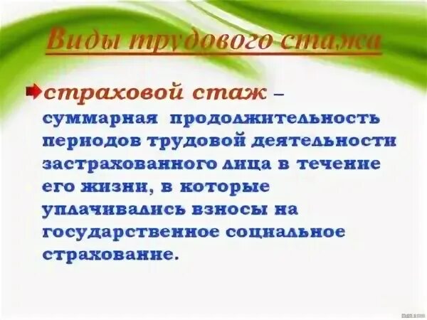 Понятие и виды страхового трудового стажа