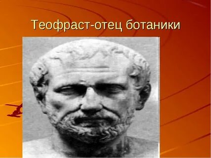 Отец ботаники